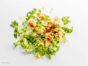 Endiviensalat Dicke Bohnen Tomaten
